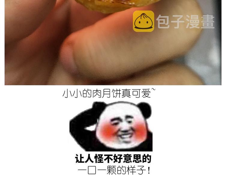 仙女肉月饼25