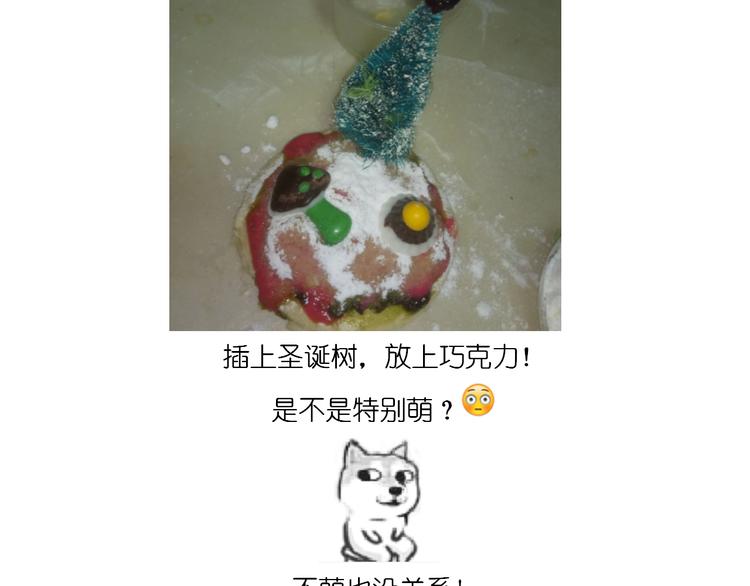 圣诞节蛋糕25
