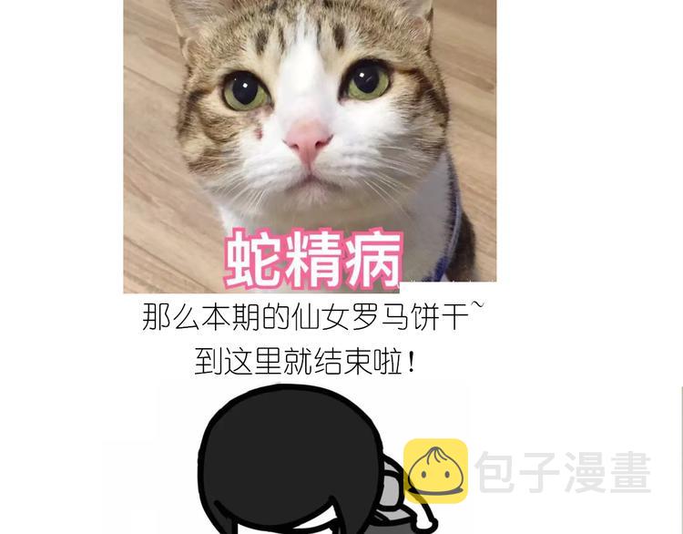 仙女的罗马盾饼干53