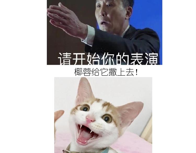 仙女的椰丝小方35