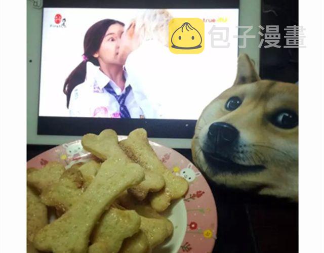 学做骨头饼干，光棍节不孤单！16