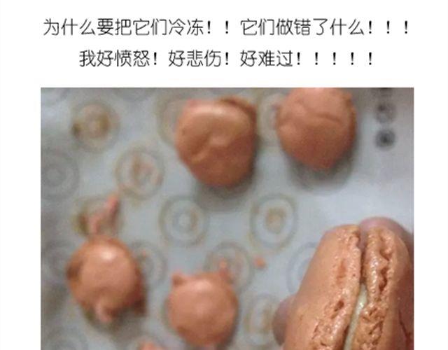 法式马卡龙25
