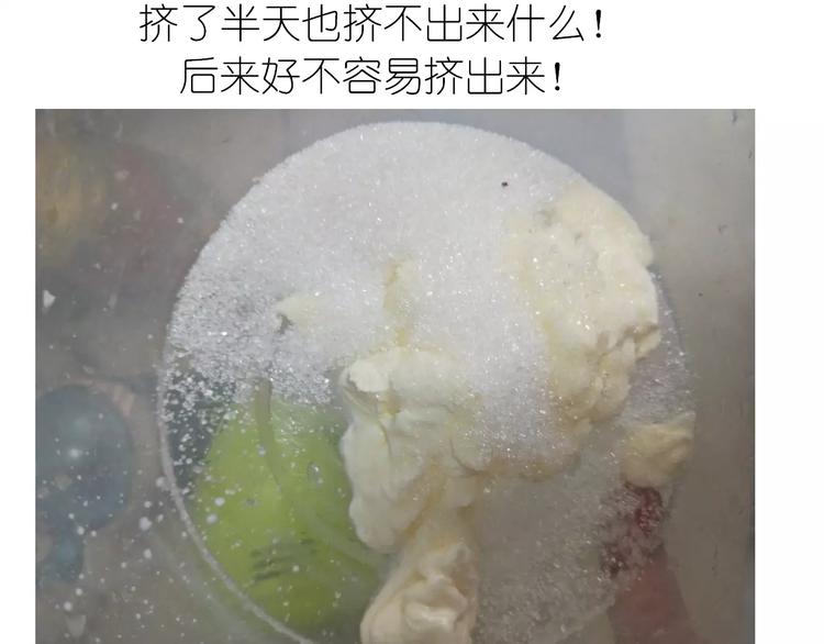 动物蛋糕卷22