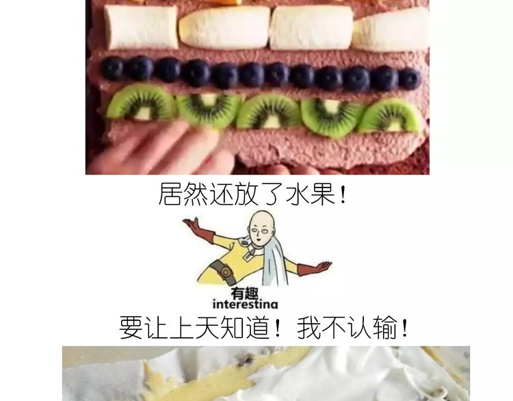 动物蛋糕卷36