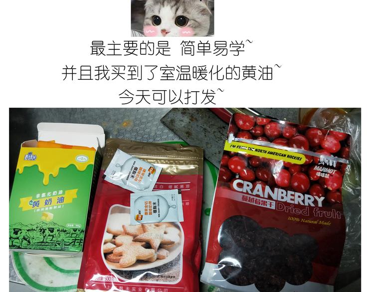 仙女蔓越莓奶酥2