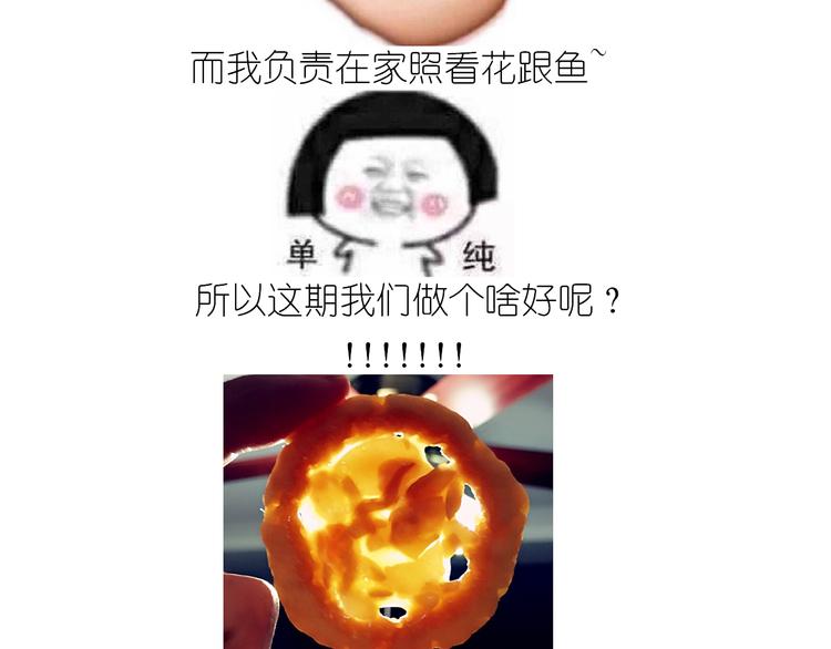 仙女的罗马盾饼干1