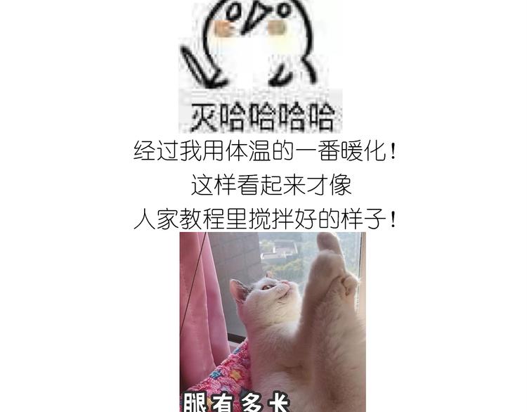 仙女的曲奇25