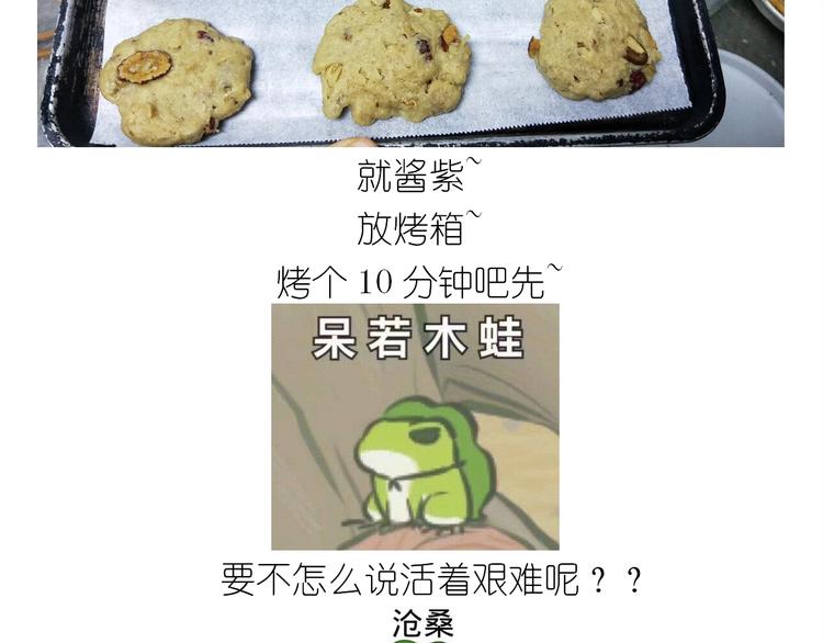 仙女姨妈饼36