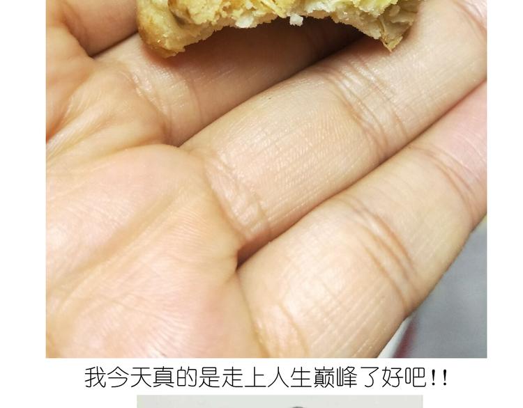仙女全麦兔仓鼠饼38