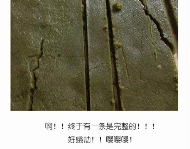 超级无敌华丽小熊猫饼干精美教程！27