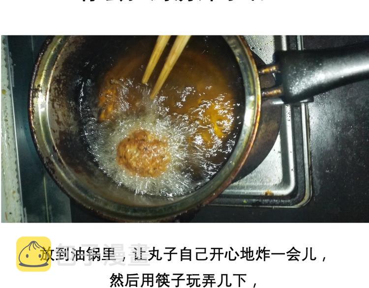 红烧狮子头16