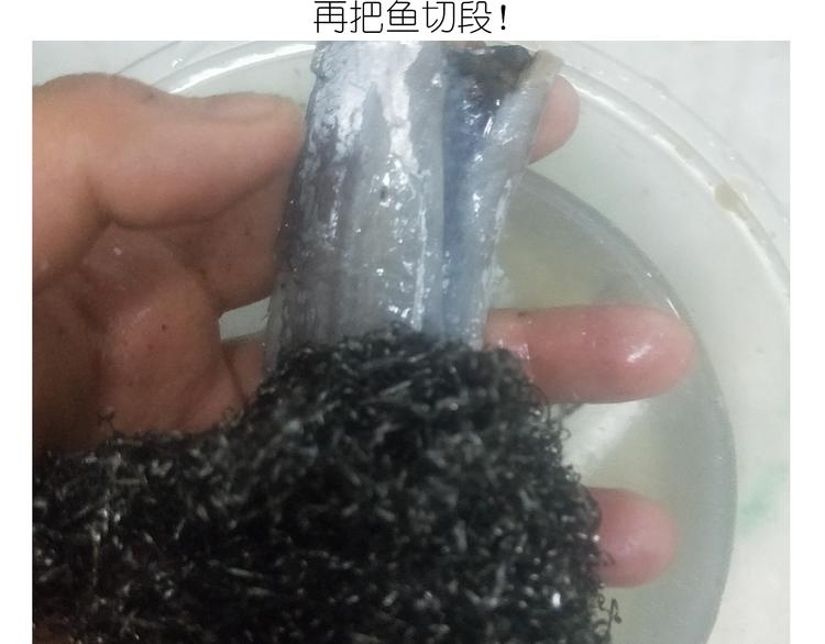仙女新年菜系红烧带鱼6