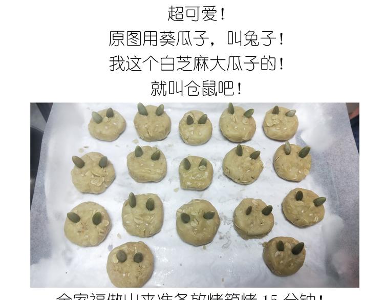 仙女全麦兔仓鼠饼29