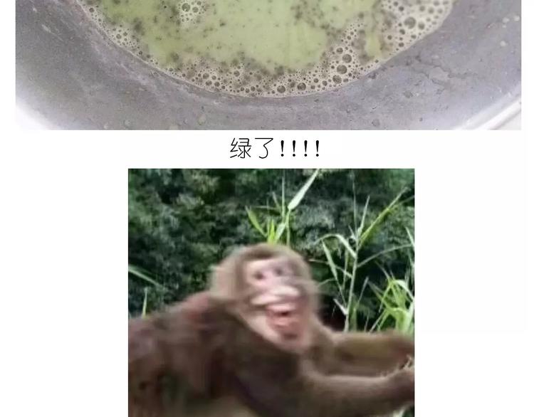 抹布蛋糕17