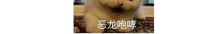 仙女的油泼面21