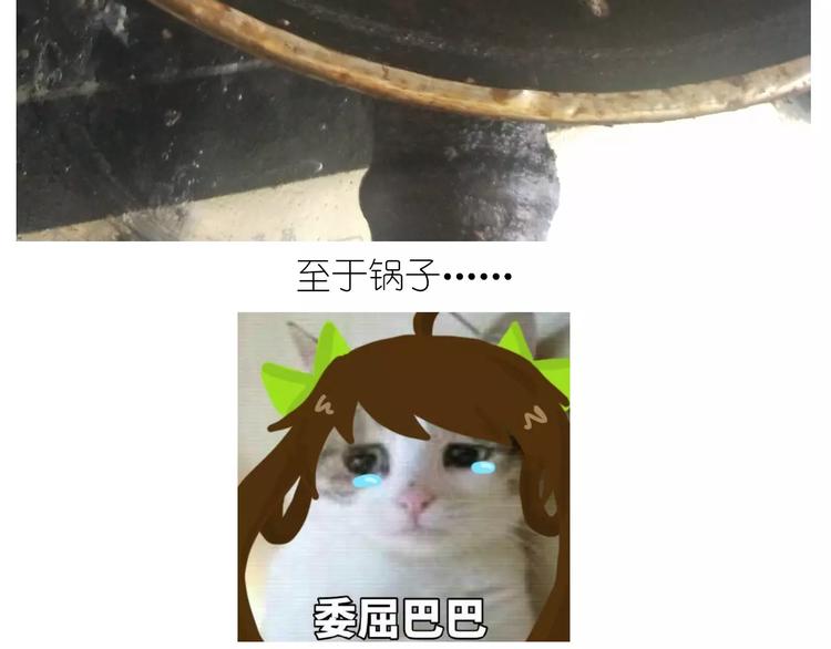 粽子君27