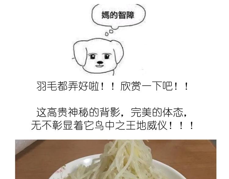 挑战漫画菜系之凤凰水晶！11