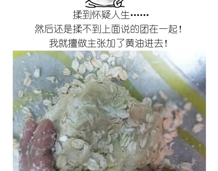 仙女全麦兔仓鼠饼12