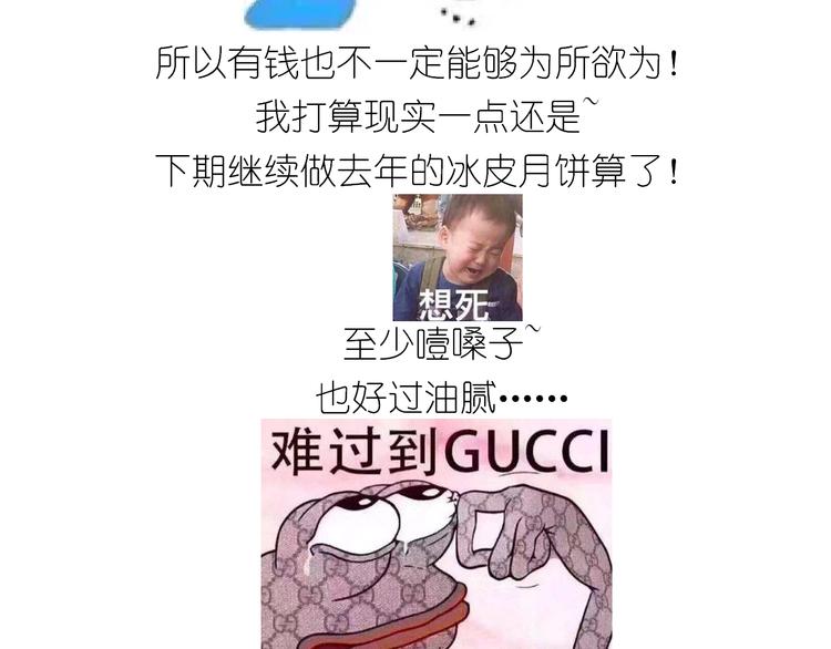仙女肉月饼34