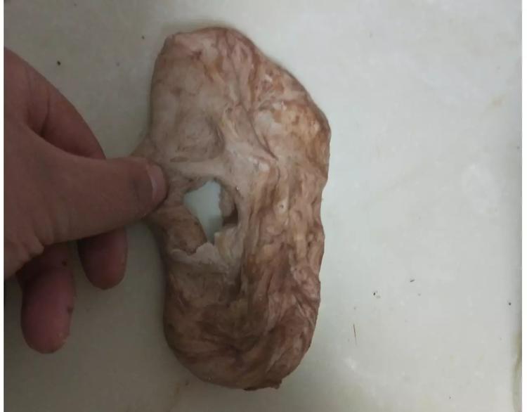 小绵羊面包20