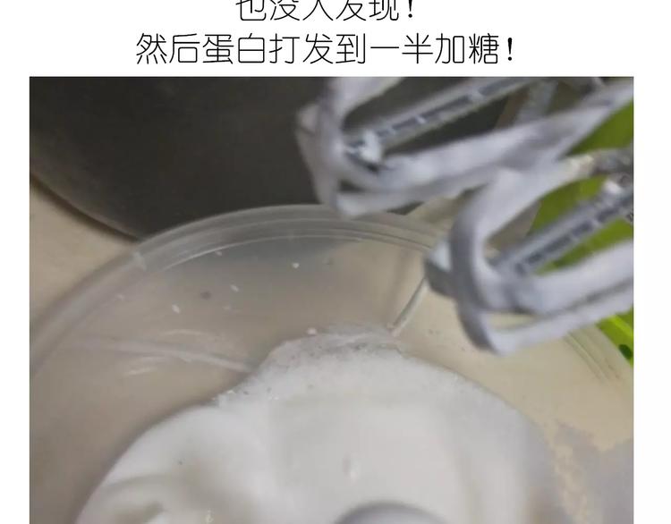 动物蛋糕卷5