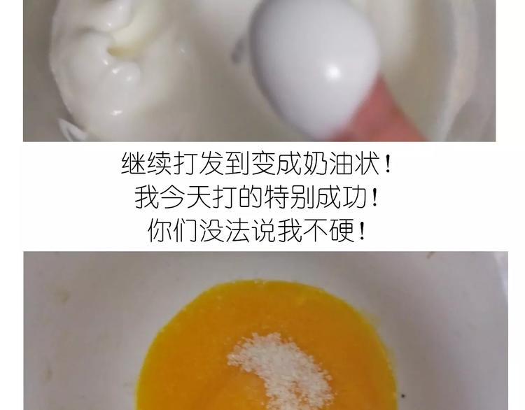动物蛋糕卷6