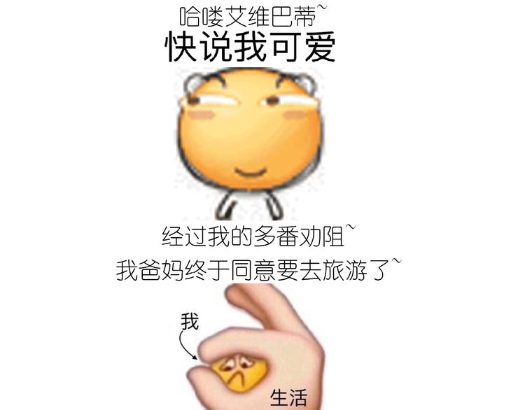仙女的罗马盾饼干0