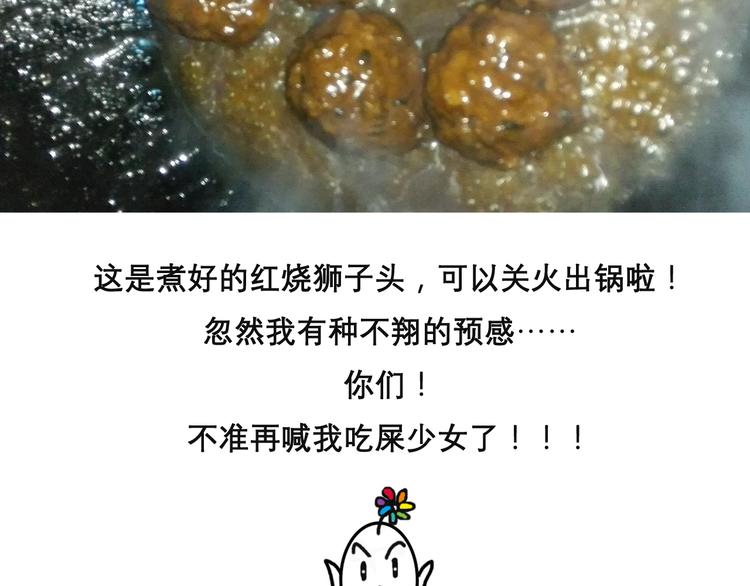 红烧狮子头27