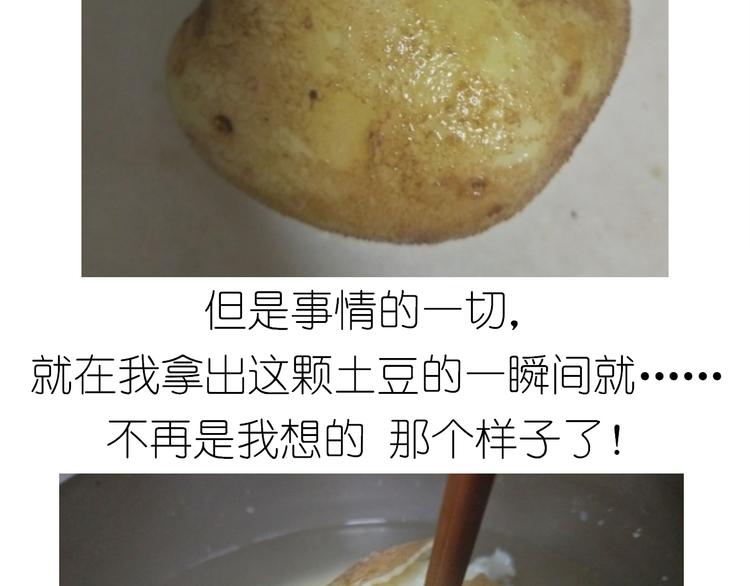 土豆丸子4
