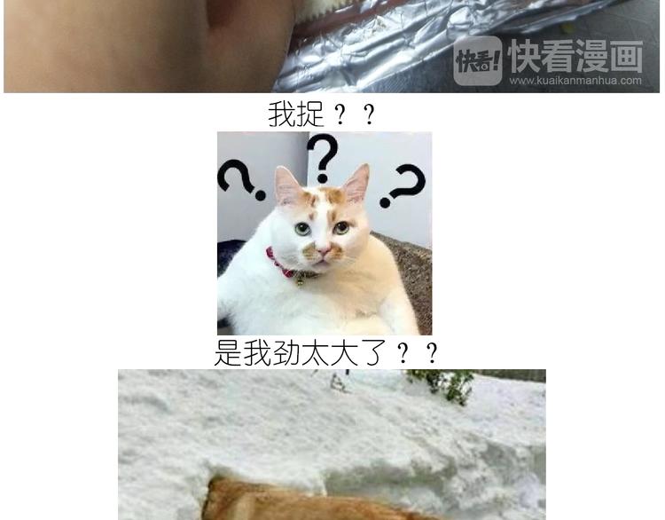 仙女的曲奇51