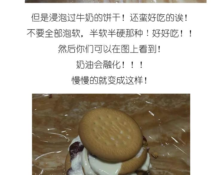 饼干蛋糕9