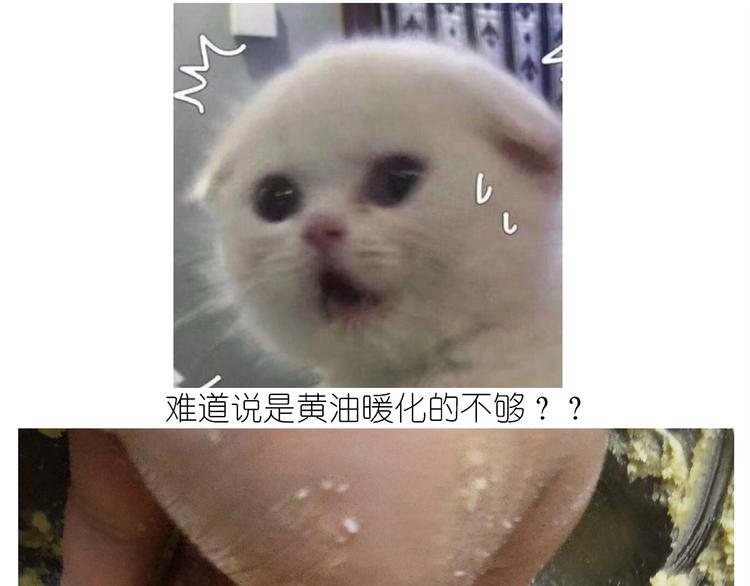 仙女的曲奇22