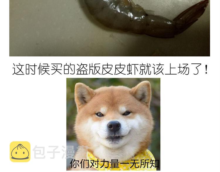 盗版皮皮虾17