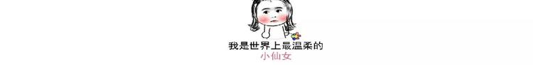 动物蛋糕卷21