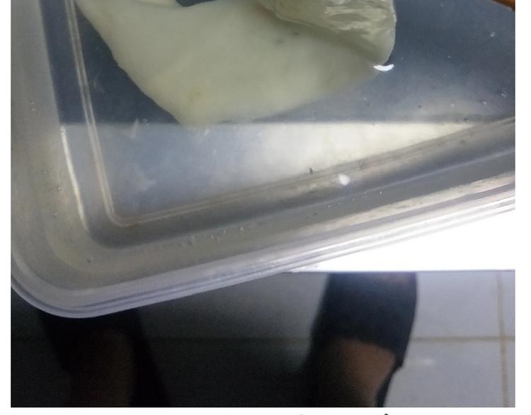 仙女的油泼面38
