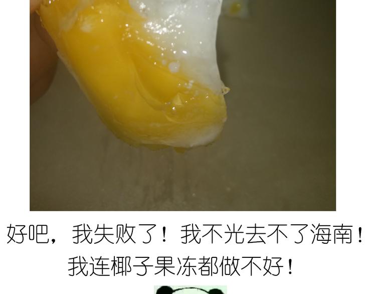 果冻31