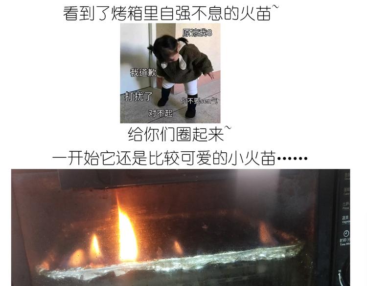 仙女的罗马盾饼干35