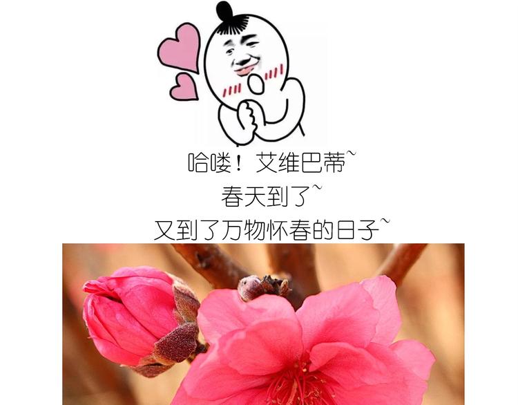 仙女的小桃花0