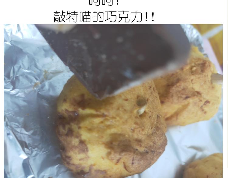 仙女的南瓜灯41