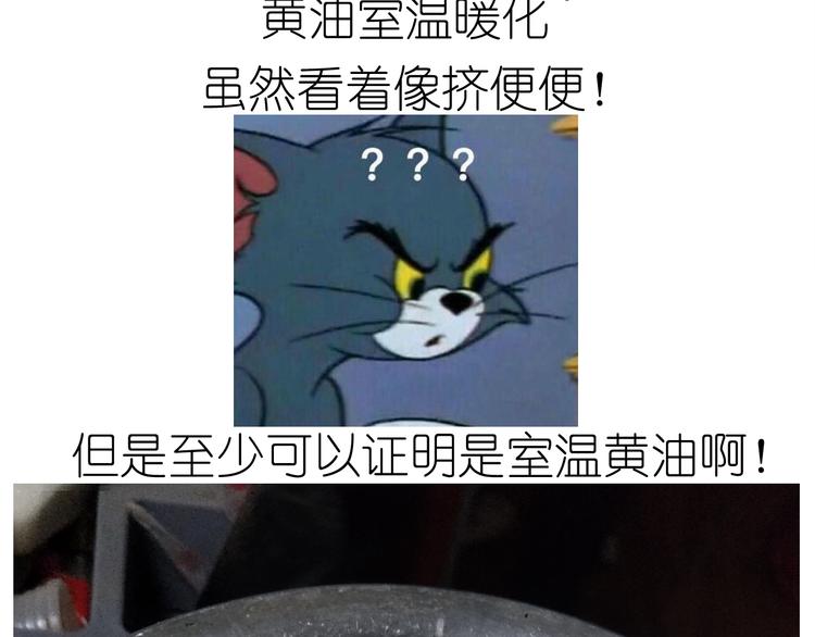 仙女自制趣奶油多多4