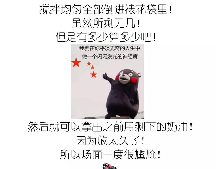 动物蛋糕卷20