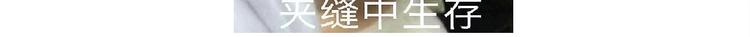 仙女的蜂窝煤43