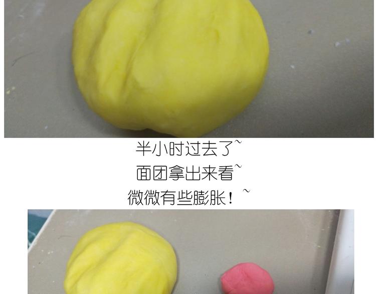 仙女的大黄耗子31