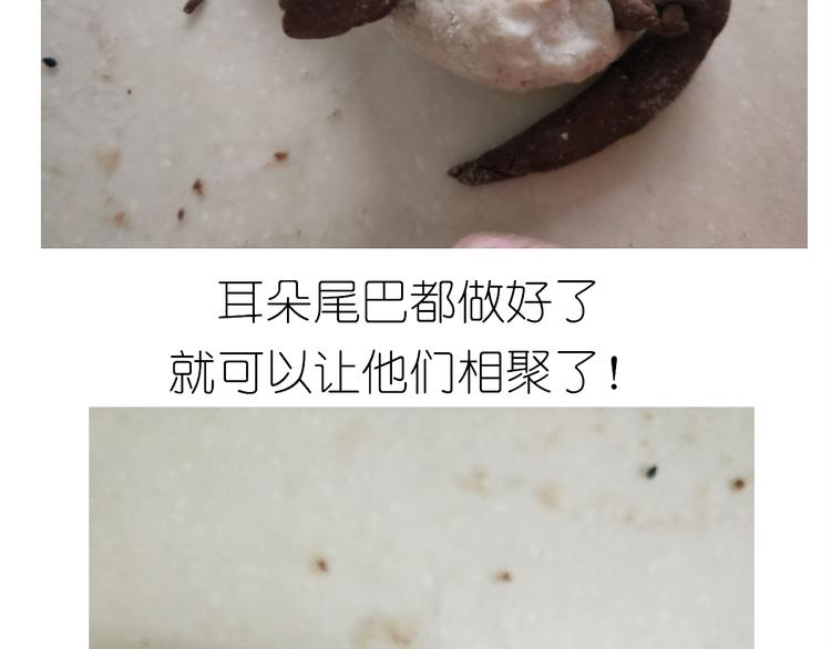 小熊包15