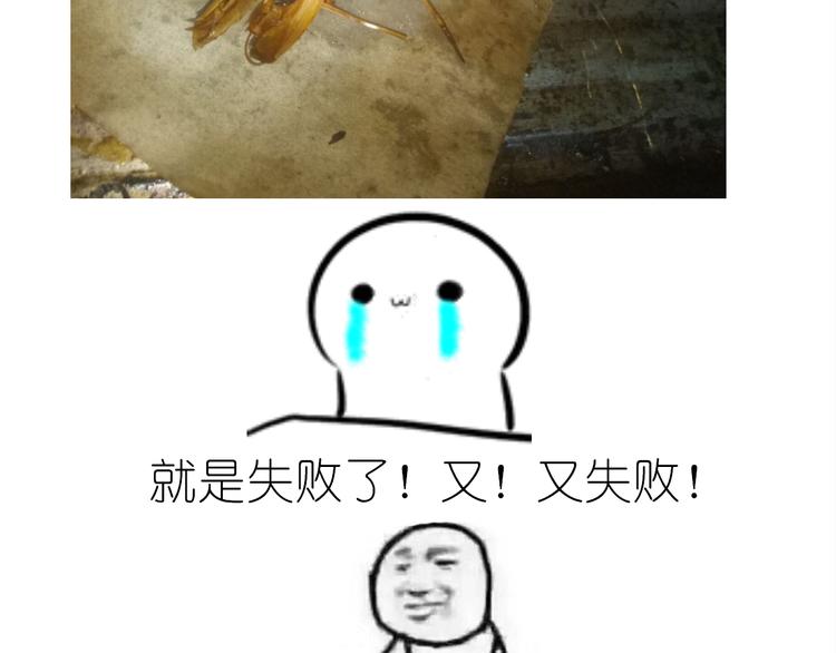 盗版皮皮虾34