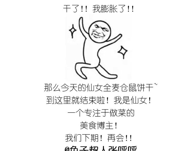 仙女全麦兔仓鼠饼41