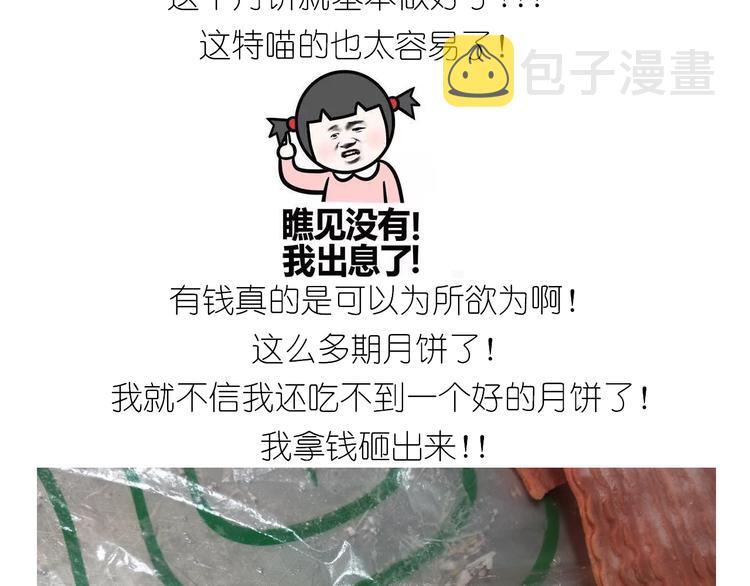 仙女肉月饼8
