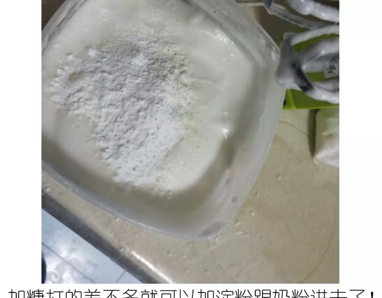 蛋白糖9