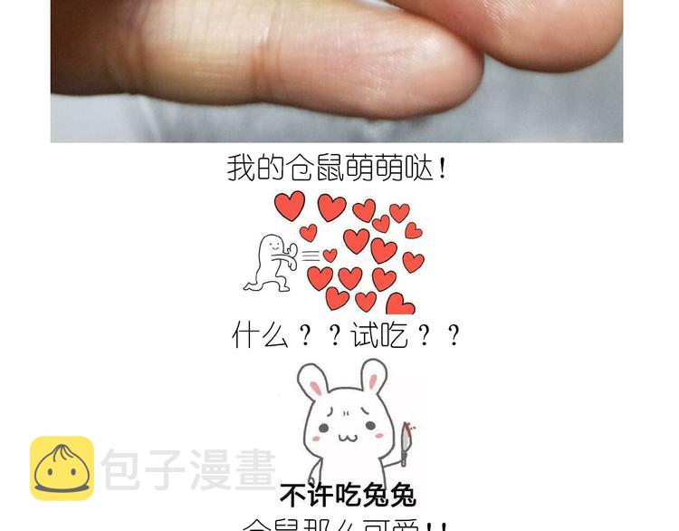 仙女全麦兔仓鼠饼33