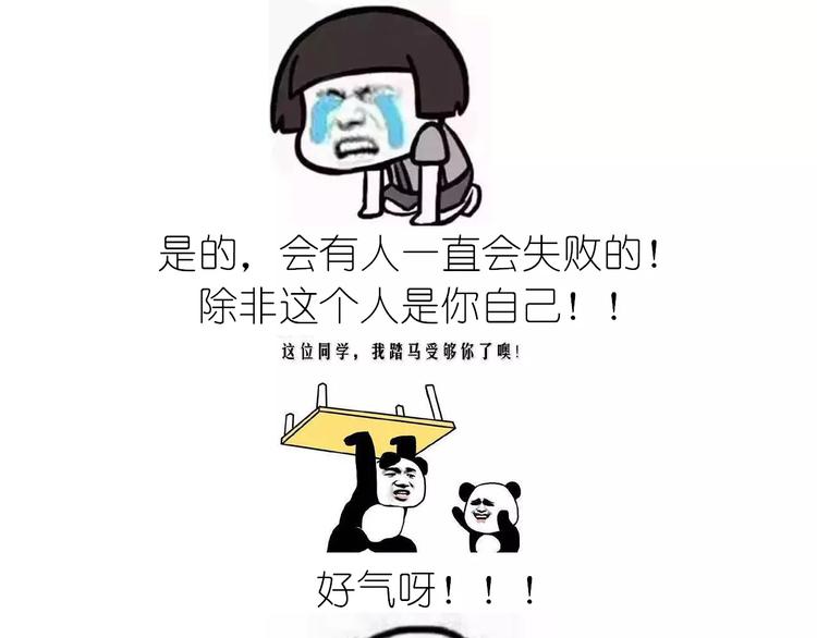 动物蛋糕卷44